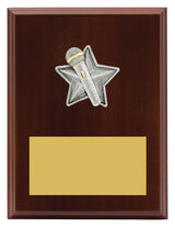 Peak Plaque Public Speaking 200mm