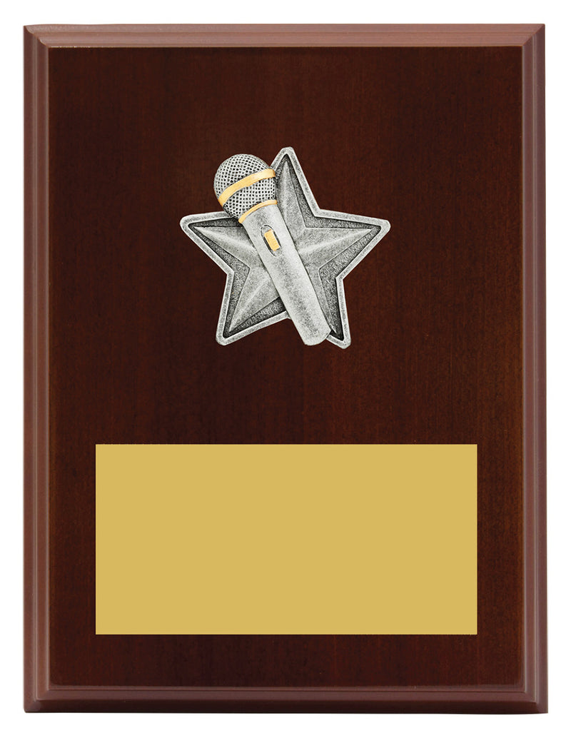 Peak Plaque Public Speaking 200mm