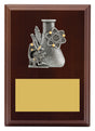 Peak Plaque Science 150mm