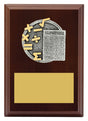 Peak Plaque Maths 150mm