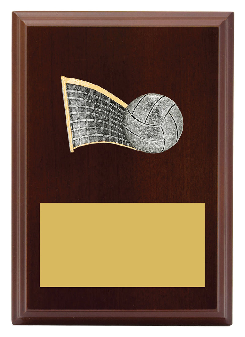 Plaque - Peak Volleyball Plaque Peak Volleyball 150mm