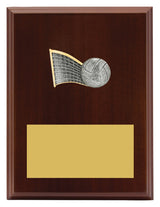 Peak Plaque Volleyball 200mm