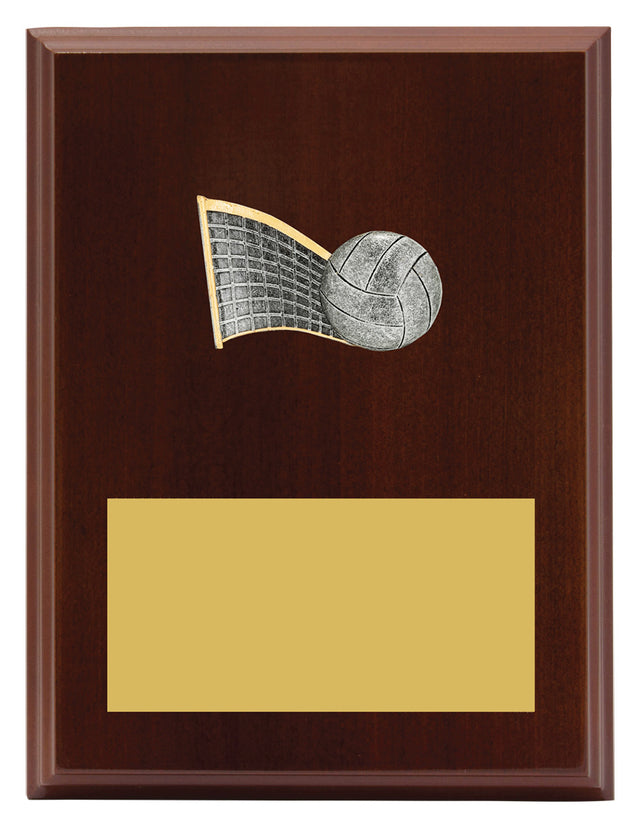 Peak Plaque Volleyball 200mm