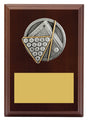 Peak Plaque Pool / Snooker 150mm