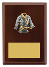 Peak Plaque Karate 175mm