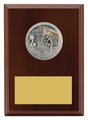 Peak Plaque Water Polo 150mm