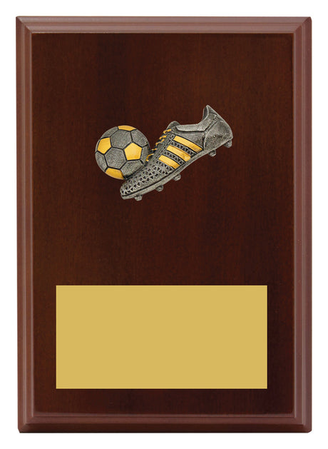 Peak Plaque Football 175mm