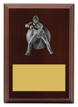 Plaque - Male Fielding 150mm