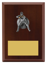 Plaque - Male Fielding 175mm
