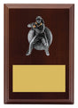 Plaque - Female Fielding 150mm