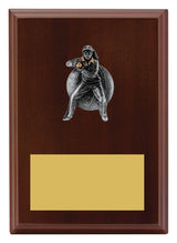 Plaque - Female Fielding 175mm