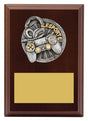 Peak Plaque Esports 150mm