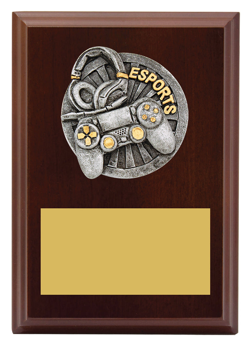 Plaque - Peak Esports 150mm