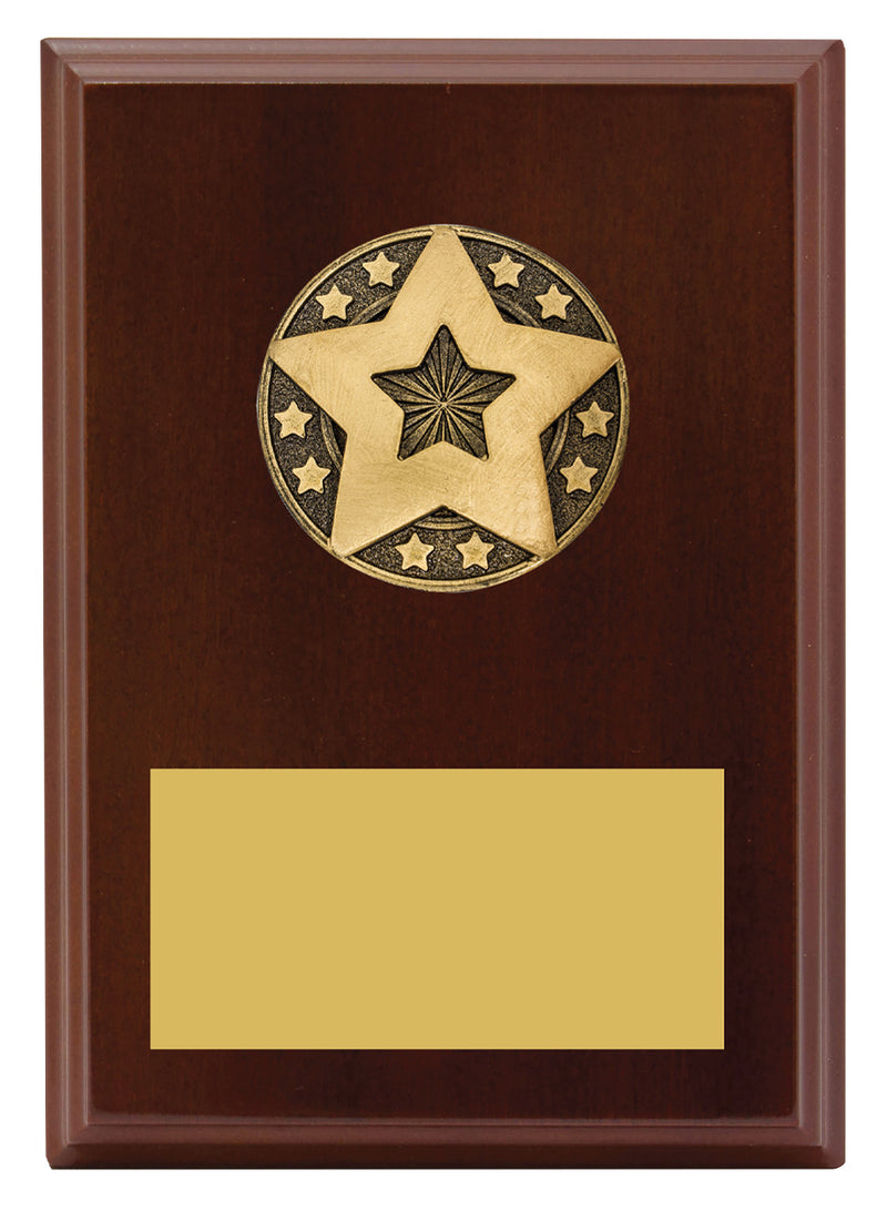 Star Award Plaque Star Award Plaque 175mm