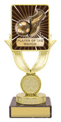 Lynx Bold - Player of the Match 175mm