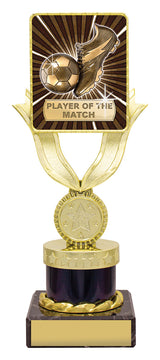 Lynx Bold - Player of the Match 200mm