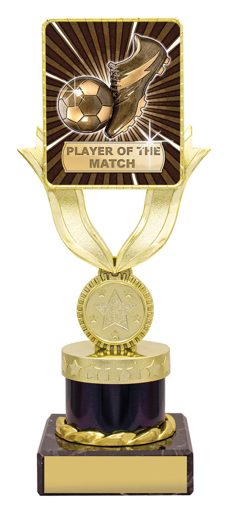Lynx Bold - Player of the Match 200mm