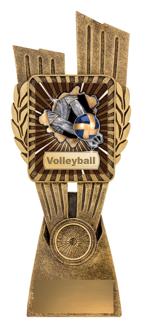 Antique Gold Lynx - Volleyball 245mm