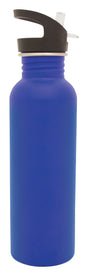 Action Bottle - Blue 750ml