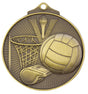 Netball Medal Gold