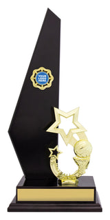 Black Starboard 430mm