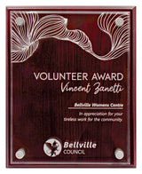 Value Plaque with Acrylic 325mm