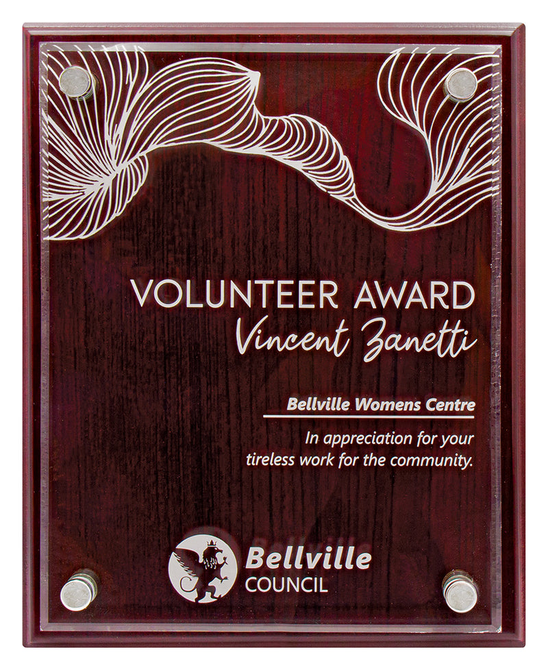 Value Plaque with Acrylic 325mm