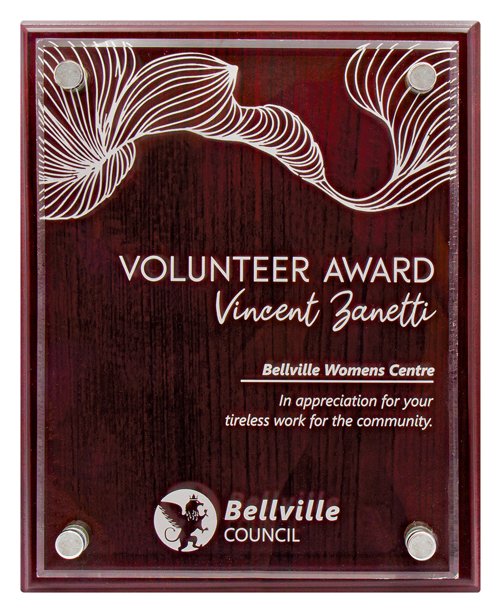 Value Plaque with Acrylic 200mm