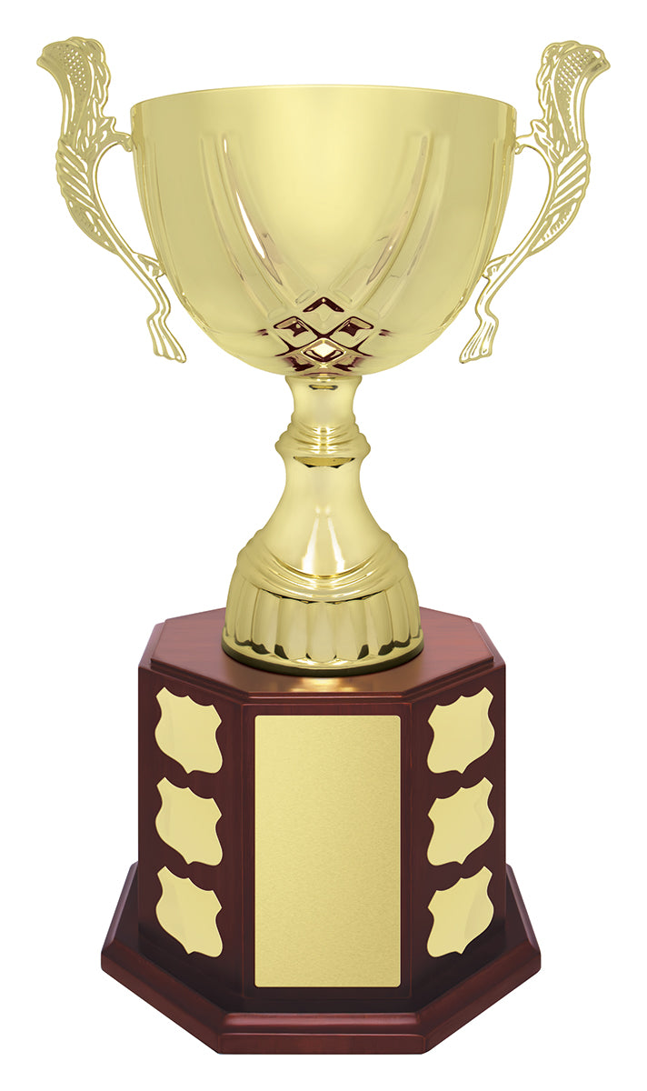 Ensign Cup 420mm