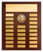 Perpetual Plaque - Volleyball 380mm