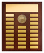 Perpetual Plaque - Netball 380mm