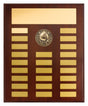 Perpetual Plaque - Water Polo 380mm