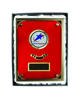 Plaque with Glass