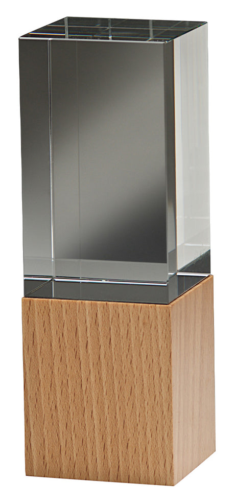 Binary Award 170mm