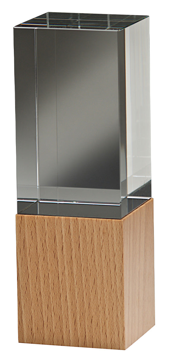 Binary Award 170mm