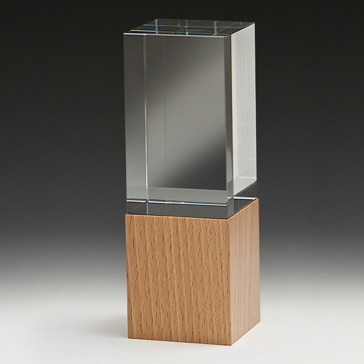 Binary Award 170mm