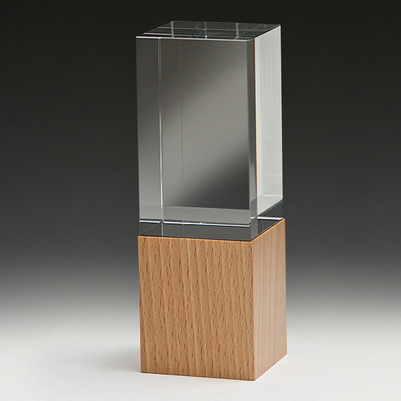 Binary Award 170mm