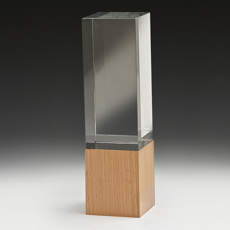 Binary Award 210mm
