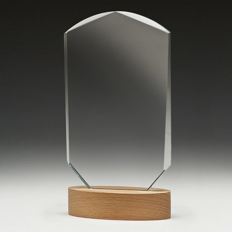Omega Award 235mm