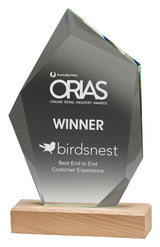Journey Award 205mm