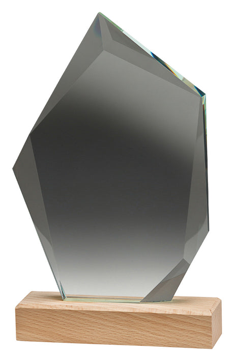 Journey Award 205mm