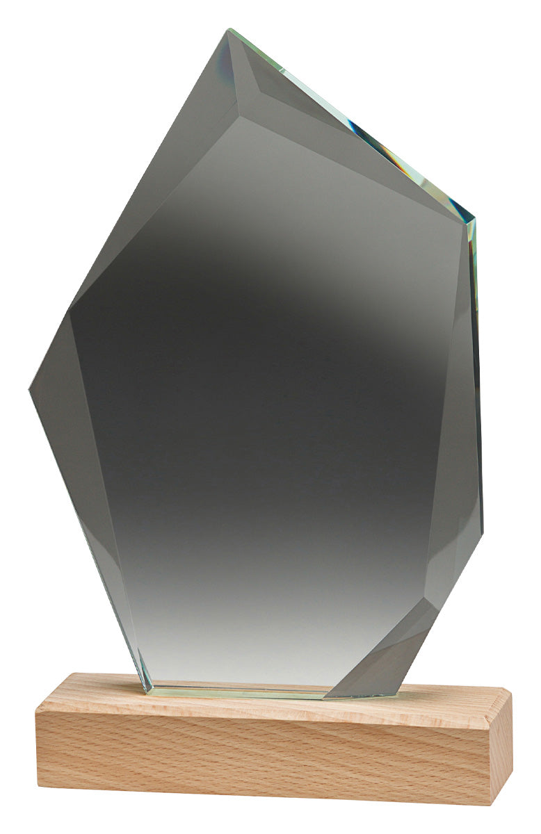 Journey Award 205mm