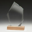 Journey Award 205mm