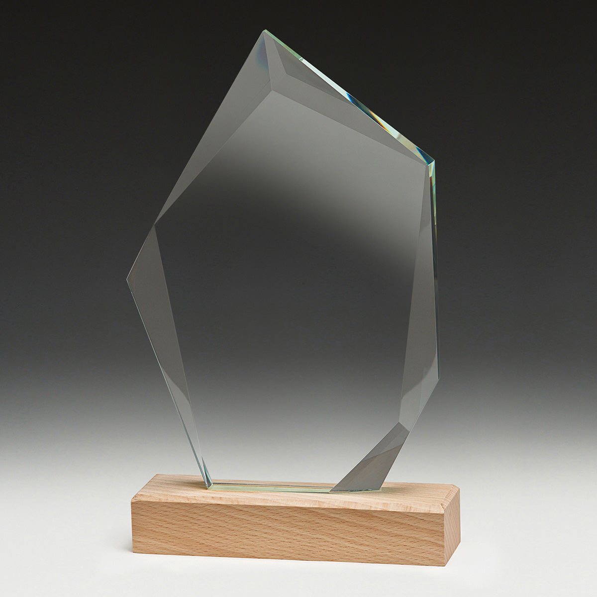 Journey Award 205mm