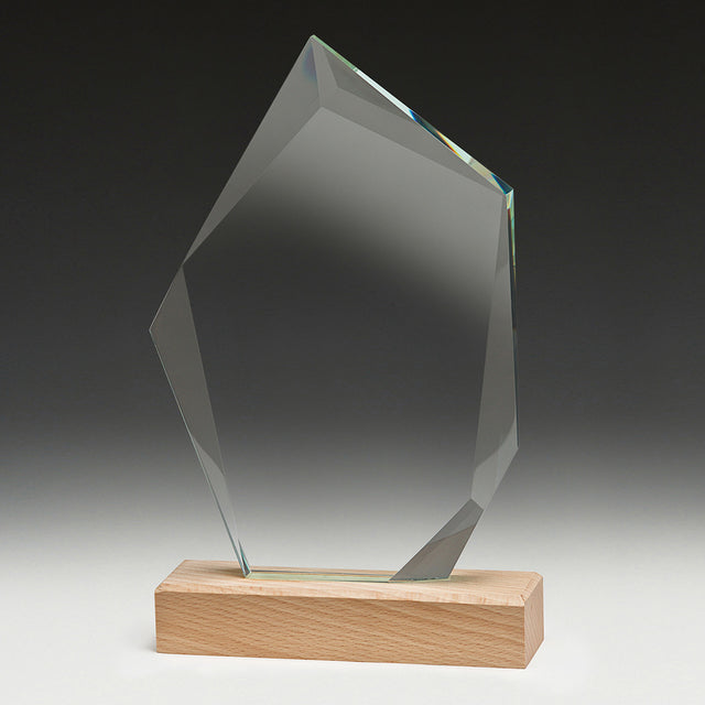 Journey Award 205mm
