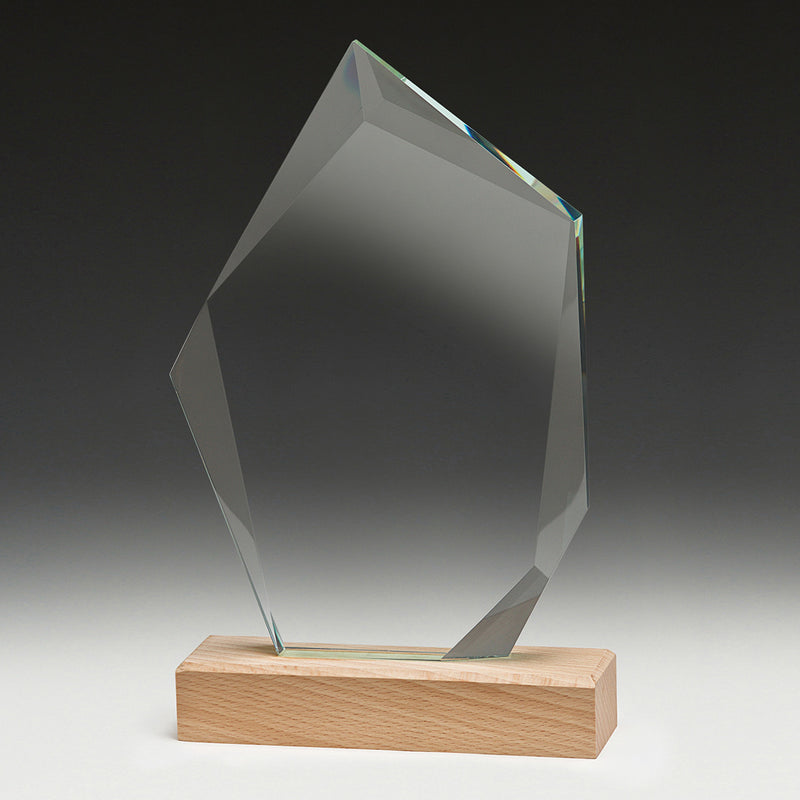 Journey Award 205mm