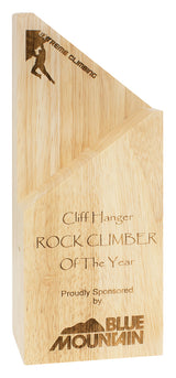 Arrow Award 250mm