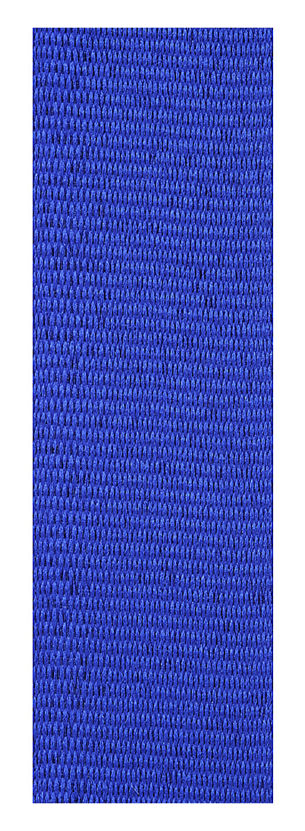 Blue Ribbon 800 x 23mm