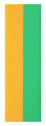 Green / Gold Ribbon 800 x 23mm