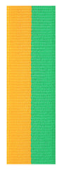 Green / Gold Ribbon 800 x 23mm